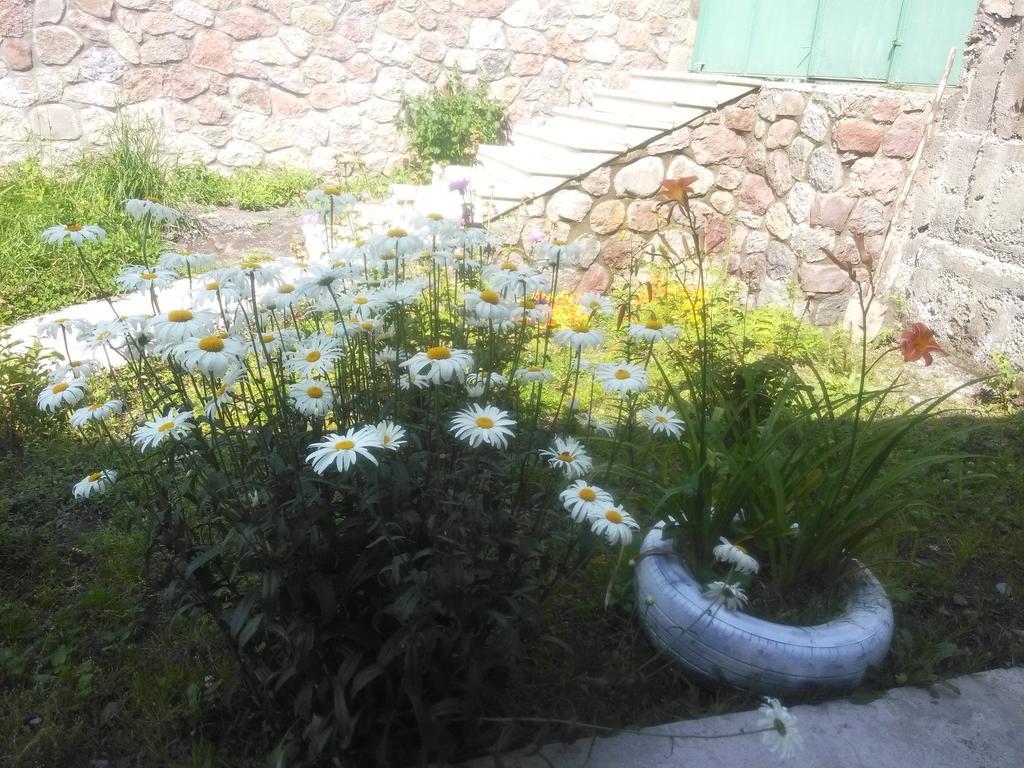 Hotel Nestt Kazbegi Exterior photo